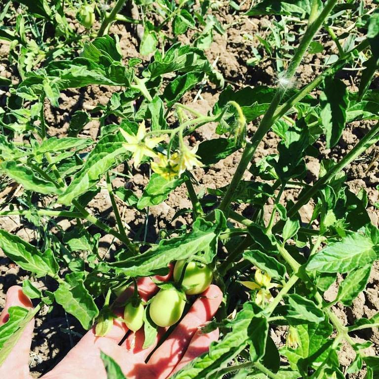 Tenuta Lanza Il Mulino Acquaviva Platani Exterior foto