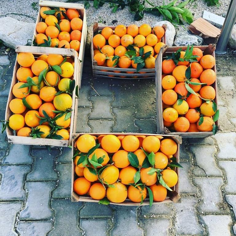 Tenuta Lanza Il Mulino Acquaviva Platani Exterior foto