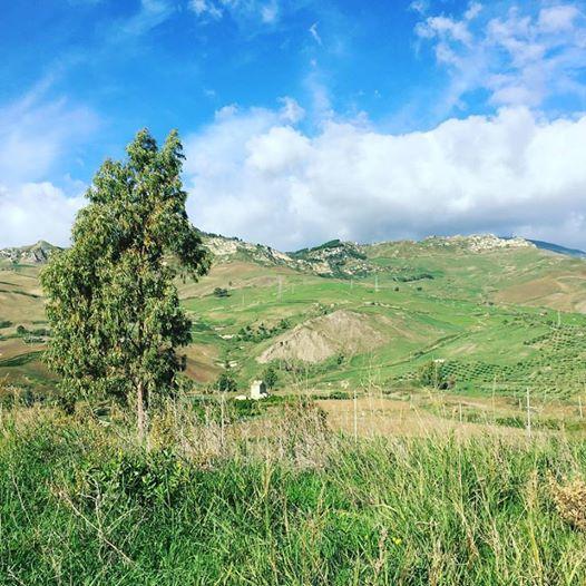 Tenuta Lanza Il Mulino Acquaviva Platani Exterior foto